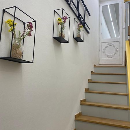 Silvano Cozy Loft Болонья Экстерьер фото